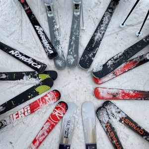 Meet your Posher, Josey